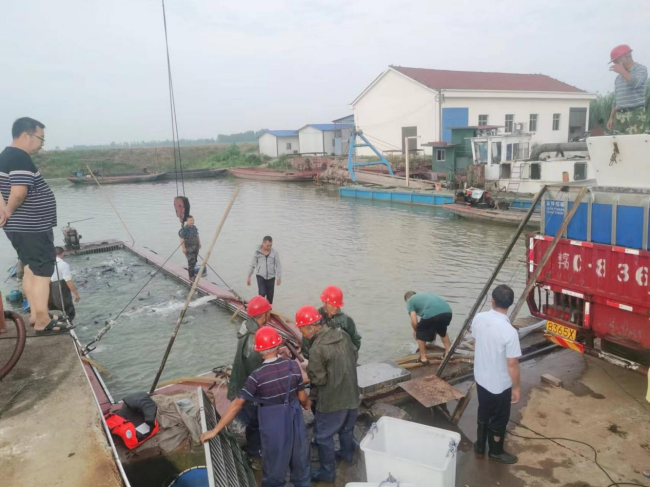 澧縣土地資源,澧縣公共基礎(chǔ)設施,澧縣工商業(yè)信息咨詢,澧縣澧州實業(yè)發(fā)展有限公司