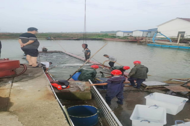 澧縣土地資源,澧縣公共基礎(chǔ)設施,澧縣工商業(yè)信息咨詢,澧縣澧州實業(yè)發(fā)展有限公司